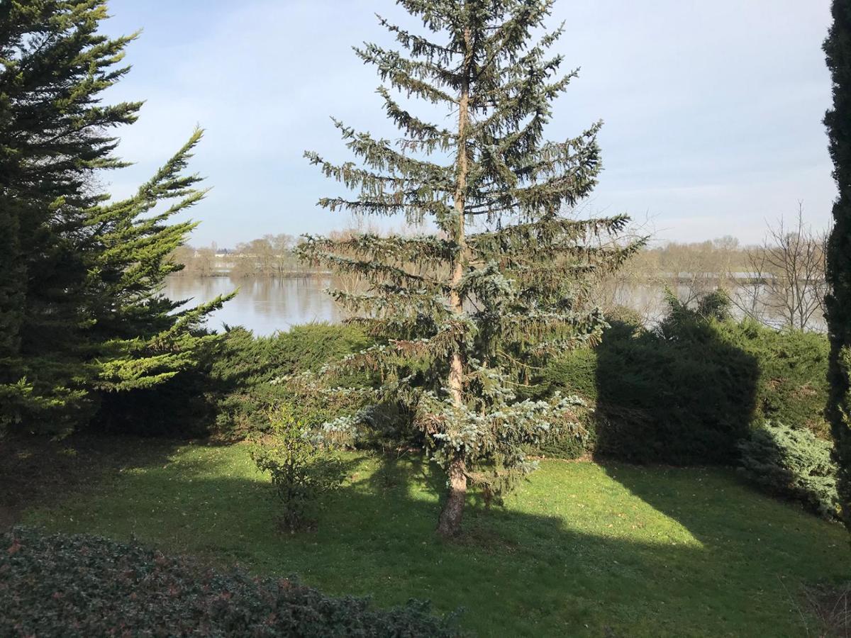 Une Nuit Sur Loire Treves-Cunault Экстерьер фото